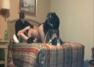 Family couple contains zoophiles