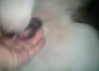 Dog gets into bestial sex