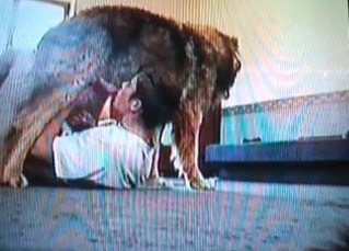 Zoophile blows his lovely doggy