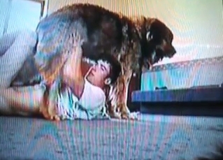 Zoophile blows his lovely doggy