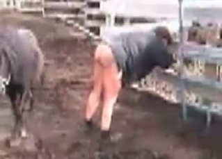 Perverted outdoor farm animality