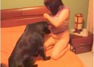Zoophilic babe enjoys her dog