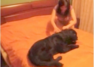 Zoophilic babe enjoys her dog