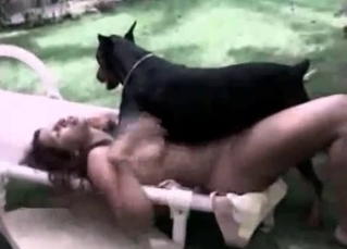 Black dog enjoys a zoophile