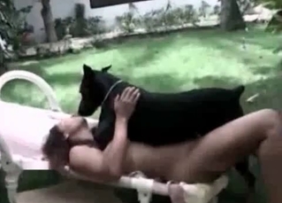 Black dog enjoys a zoophile