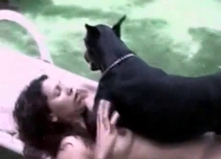Black dog enjoys a zoophile