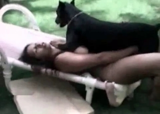 Black dog enjoys a zoophile