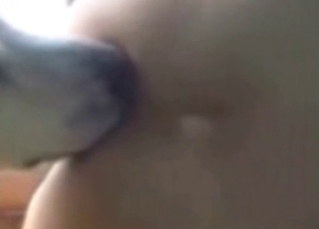 Zoophile fucked by a nice doggy