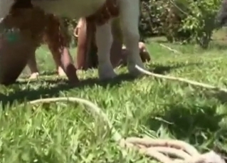 Sweet babe sucks her stallion