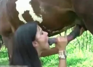 Horse cums in her wide mouth