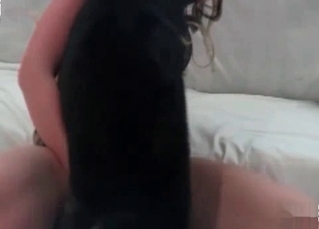Crazy bitch is sucking a dog
