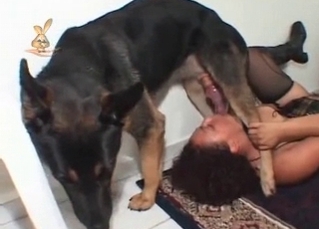 Kinky babe and her hot Shepherd