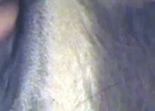 Stimulating a tight horse anus