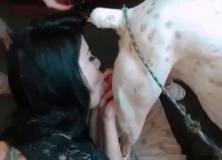 Cutie fucked by a cur