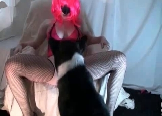 Dog pleasing horny pussy