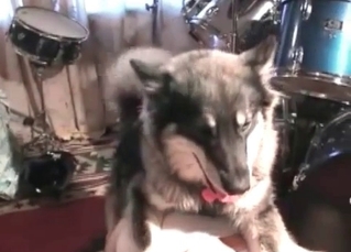 Fuck with a hot doggy