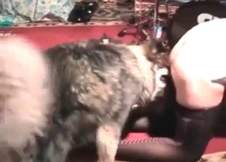 Fuck with a hot doggy