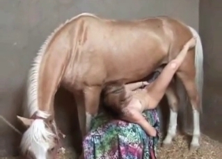 Skinny girl and a pony