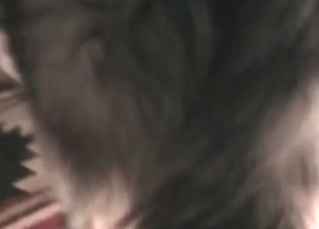 Pup fucking twat