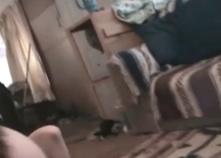 Pup fucking twat