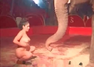 Elephant and a naked woman