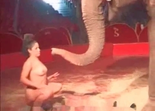 Elephant and a naked woman
