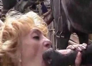 Pony gets a blowjob