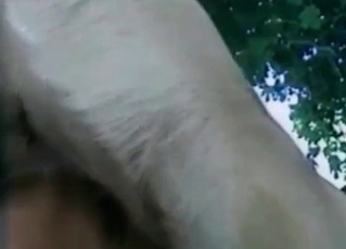 Sexy animal sex scene