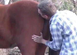 Fingering horses butthole
