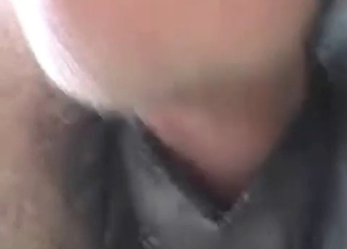 Nailing horseТs ass