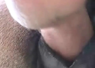 Nailing horseТs ass