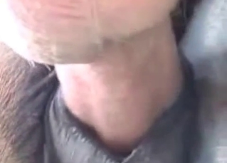 Nailing horseТs ass