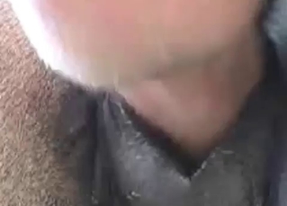 Nailing horseТs ass