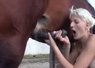 Penetrated by mares dick