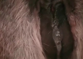 Pounding pony