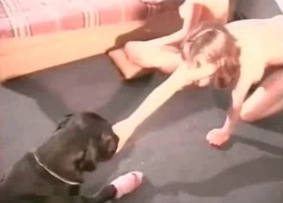 Fucked by a sexy mongrel