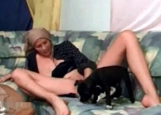 Young puppy licking pussy