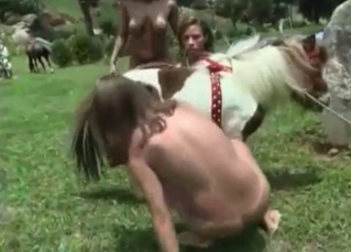 Pony with three ladies