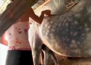 Huge dick of a stallion