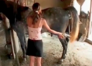 Huge dick of a stallion