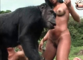 Girl animal sex Beastiality TV: