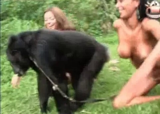 Monkey and fit cuties