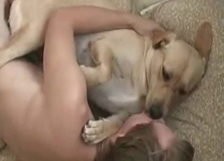 Nailing brown puppy