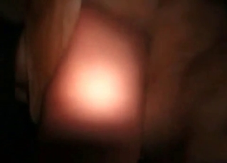 Tight pussy fucked by hound