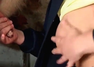 Couple fucking cow