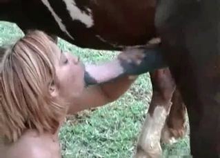 Huge coltТs dick sucked