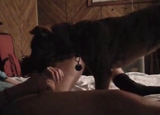 Dude and his horny pup