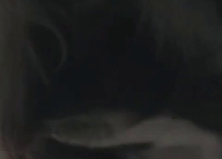Masked girl licked by a cur