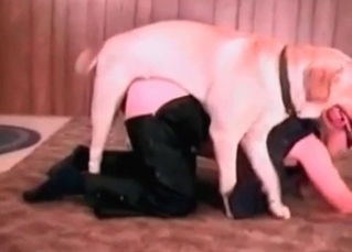 Pooch and guy in leather