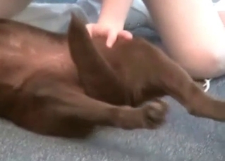 Twat fucked by a mongrel